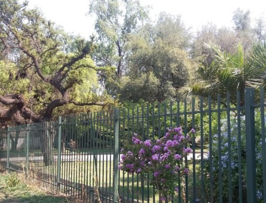 Parque Jardín Botánico