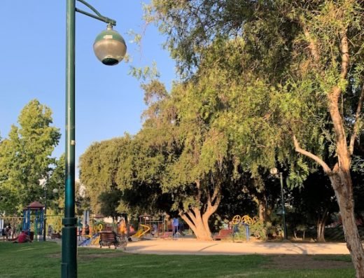 Parque Jardín Botánico